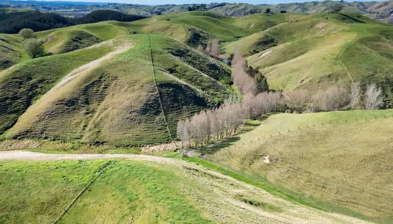 201 Breckenridge Road, Puketapu