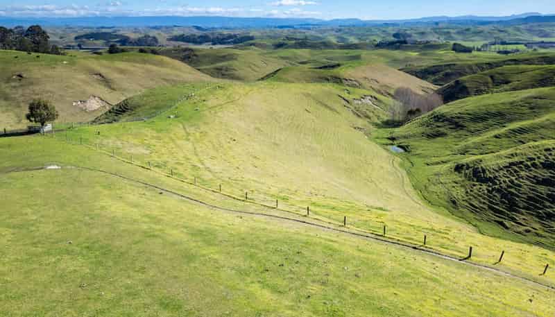 201 Breckenridge Road, Puketapu