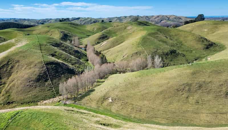 201 Breckenridge Road, Puketapu