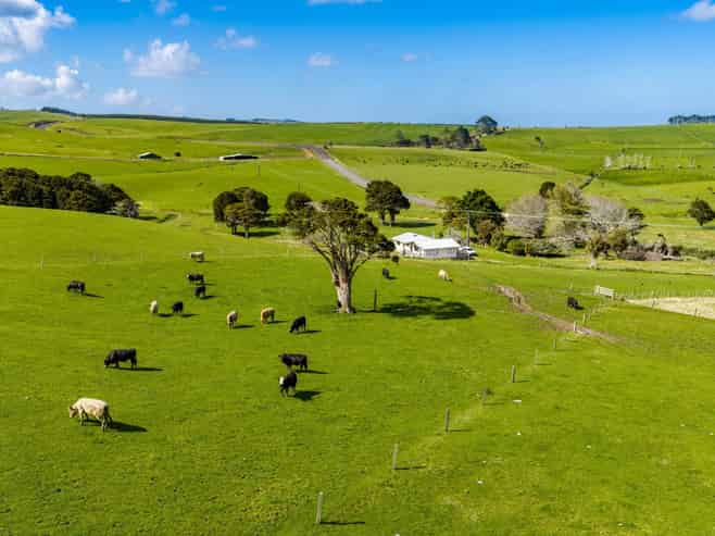 3902 State Highway 12, Dargaville