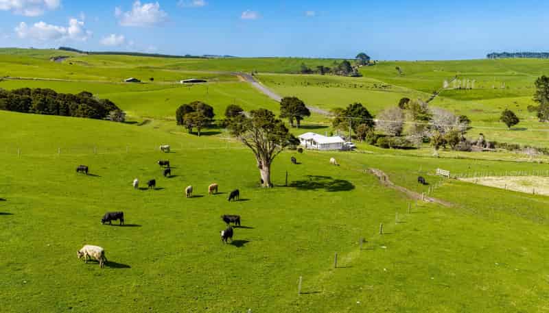 3902 State Highway 12, Dargaville