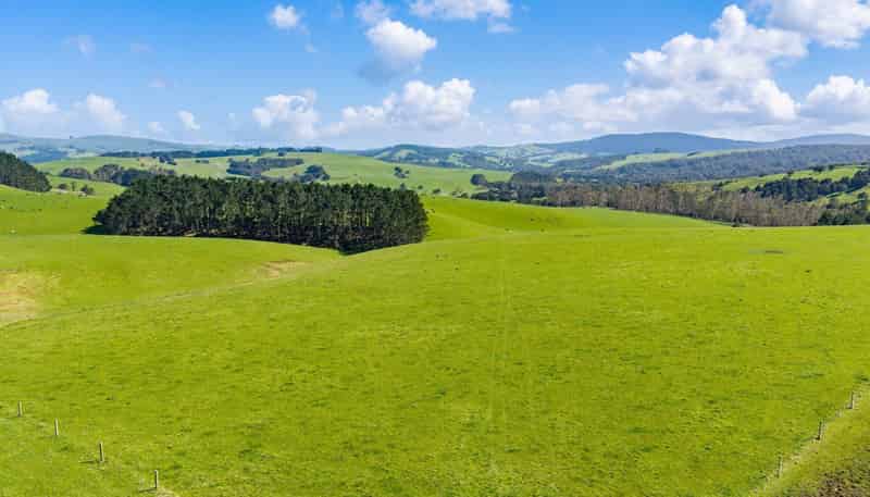 3902 State Highway 12, Dargaville