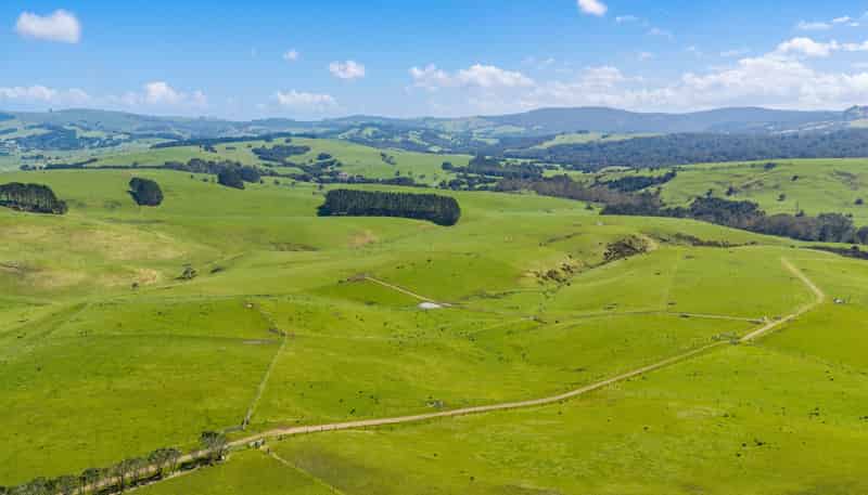 3902 State Highway 12, Dargaville