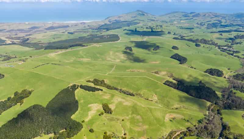 3902 State Highway 12, Dargaville