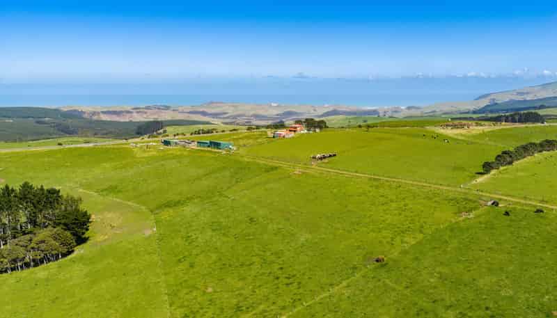 3902 State Highway 12, Dargaville
