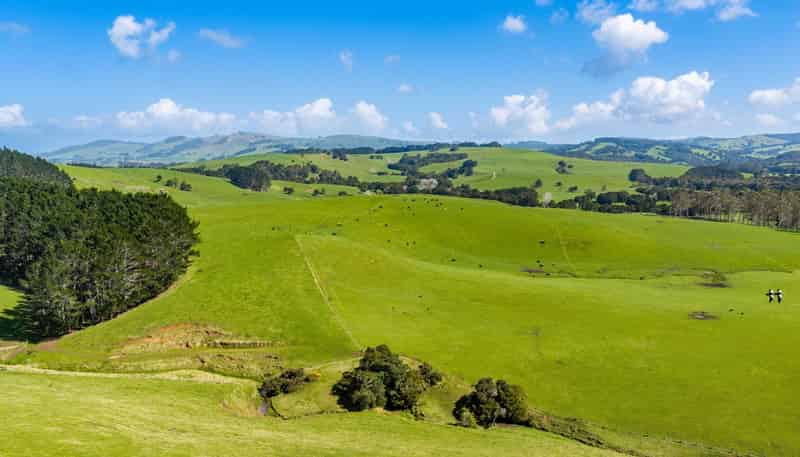 3902 State Highway 12, Dargaville