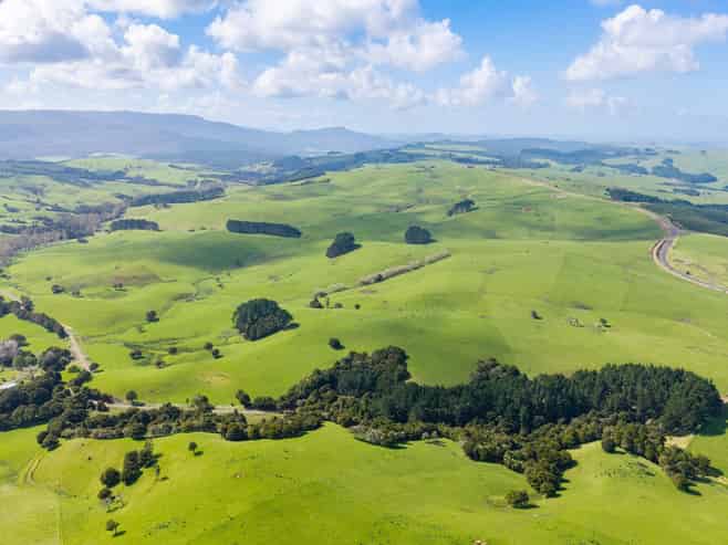 3902 State Highway 12, Dargaville
