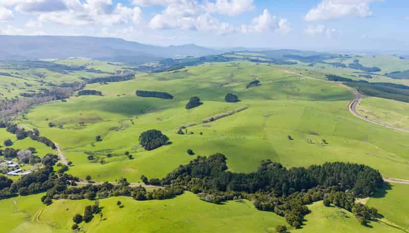 3902 State Highway 12, Dargaville