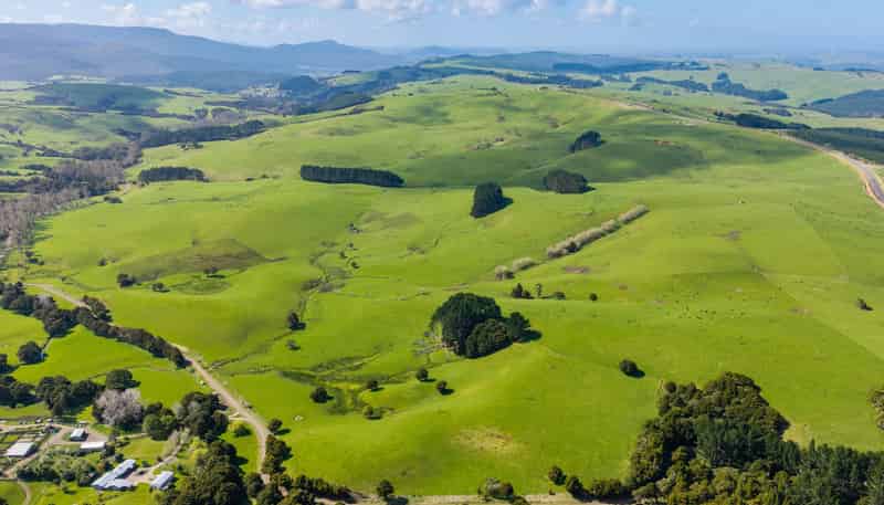 3902 State Highway 12, Dargaville