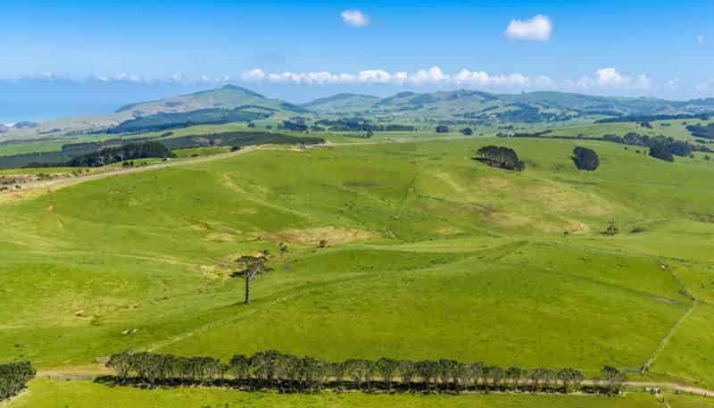 3902 State Highway 12, Dargaville