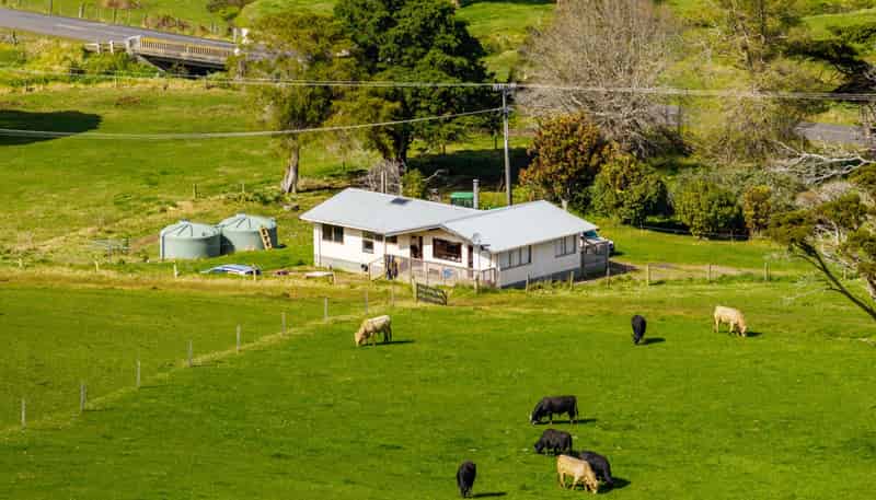 3902 State Highway 12, Dargaville