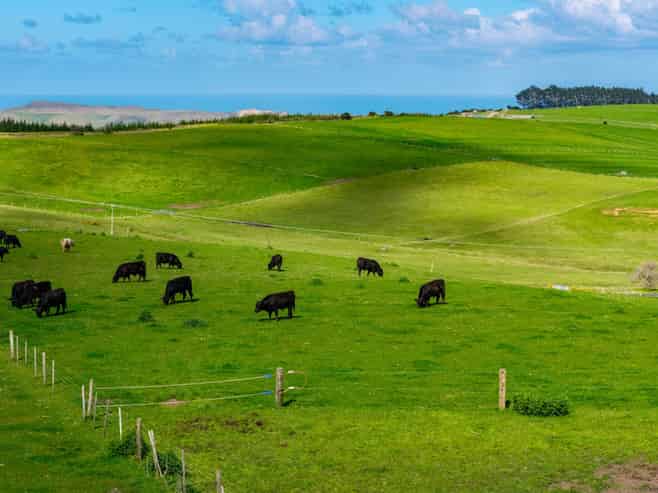 3902 State Highway 12, Dargaville