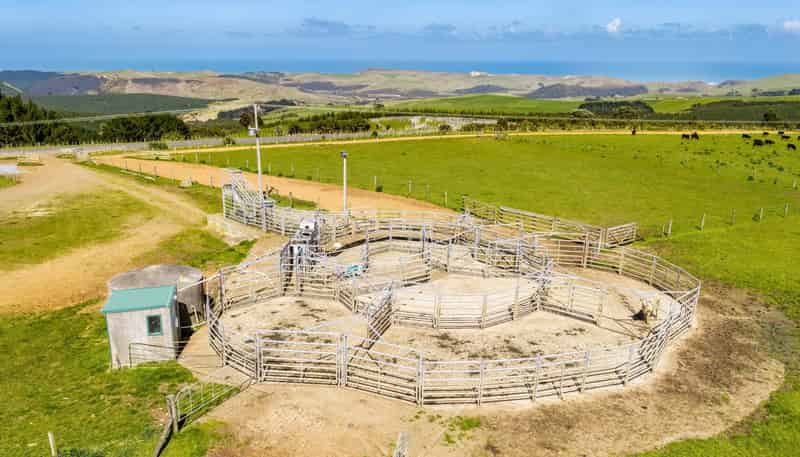 3902 State Highway 12, Dargaville