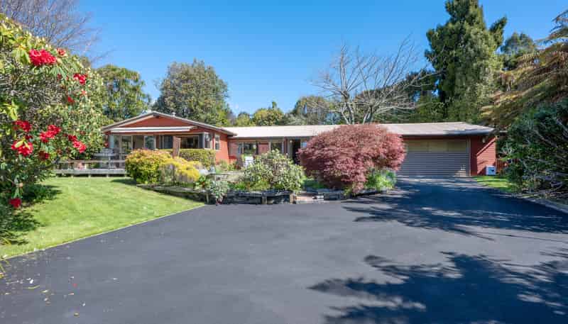 10 McDowell Street, Springfield