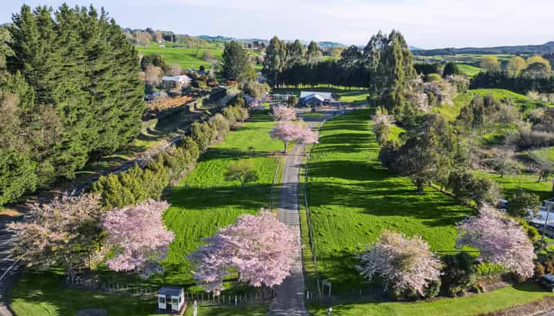 554 Apirana Road, Horohoro