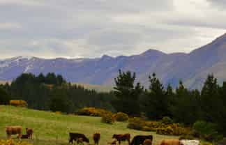 McKenzie Road, Livingstone, DUNTROON