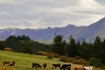  McKenzie Road, Livingstone, DUNTROON