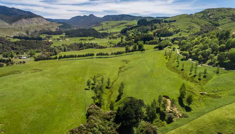 1127 Glenross, Waiwhare