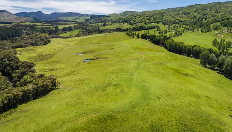 1127 Glenross, Waiwhare