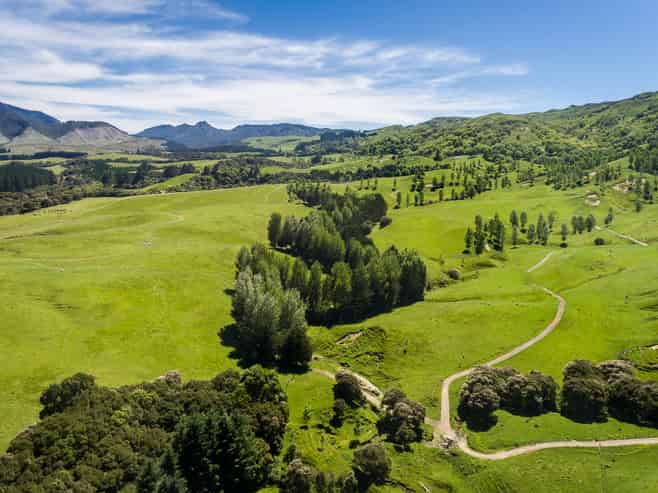 1127 Glenross, Waiwhare