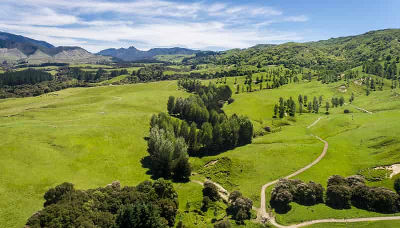 1127 Glenross, Waiwhare