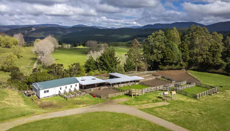 1127 Glenross, Waiwhare