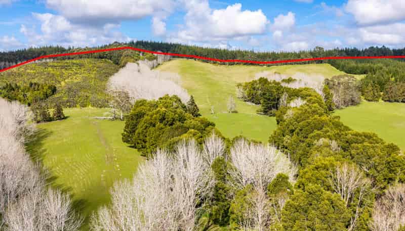 229 Bald Hill Road, Waitoki