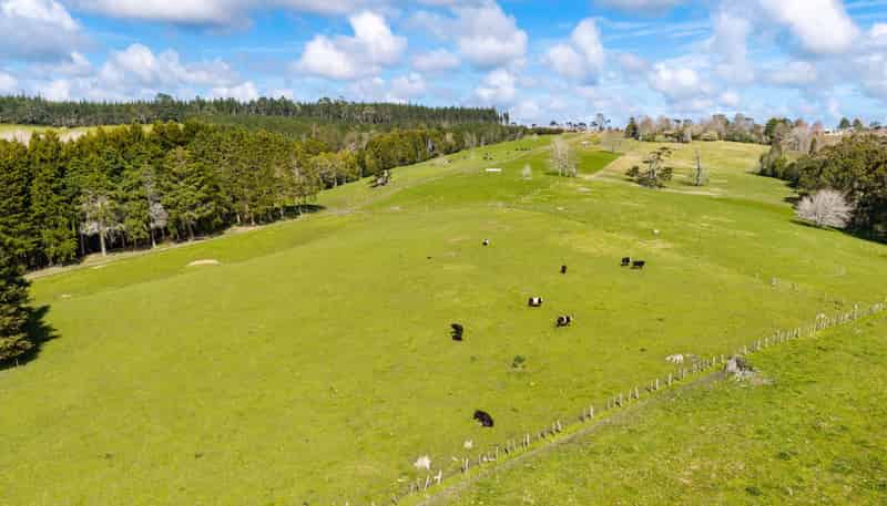 229 Bald Hill Road, Waitoki