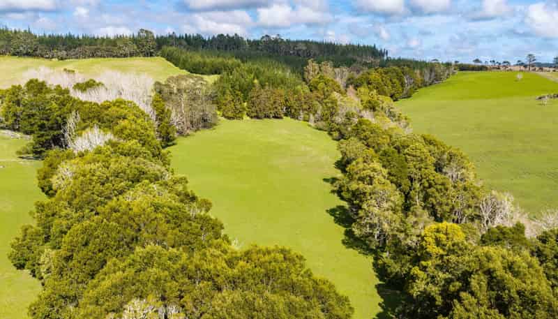 229 Bald Hill Road, Waitoki