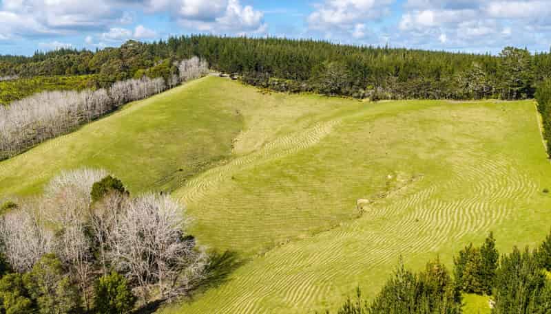 229 Bald Hill Road, Waitoki