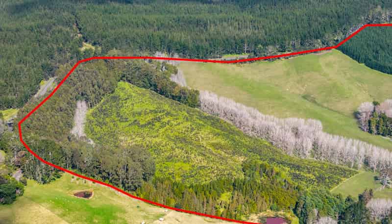 229 Bald Hill Road, Waitoki