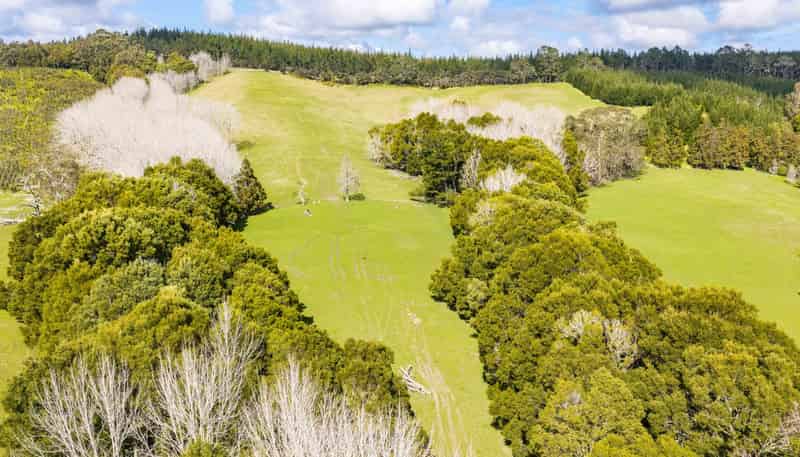 229 Bald Hill Road, Waitoki