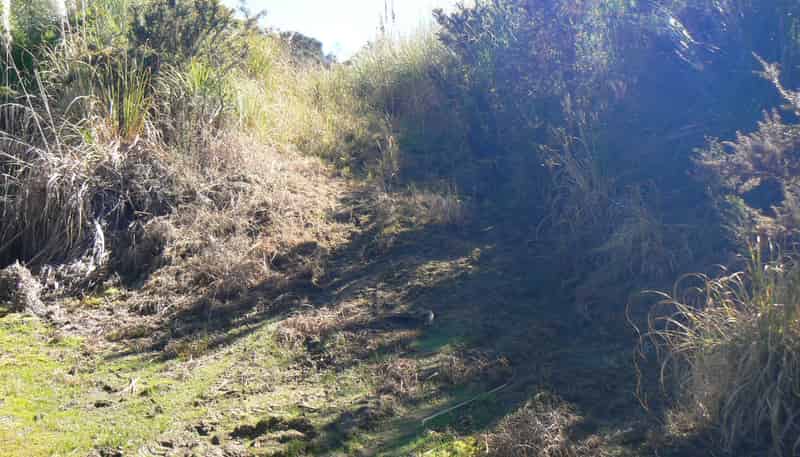 Lot 2/3 Duddy Road, Kaikohe