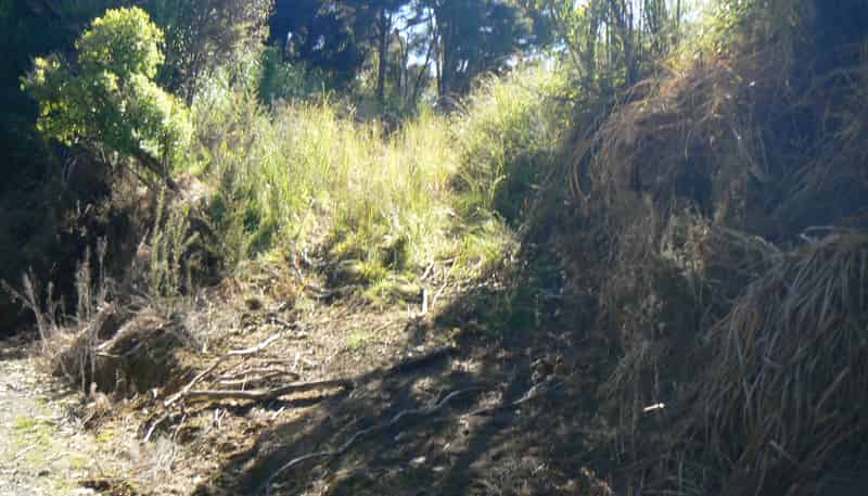 Lot 2/3 Duddy Road, Kaikohe