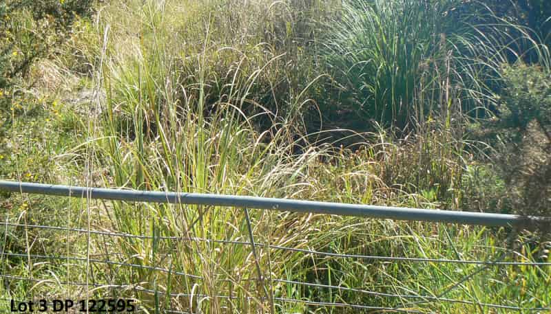 Lot 2/3 Duddy Road, Kaikohe