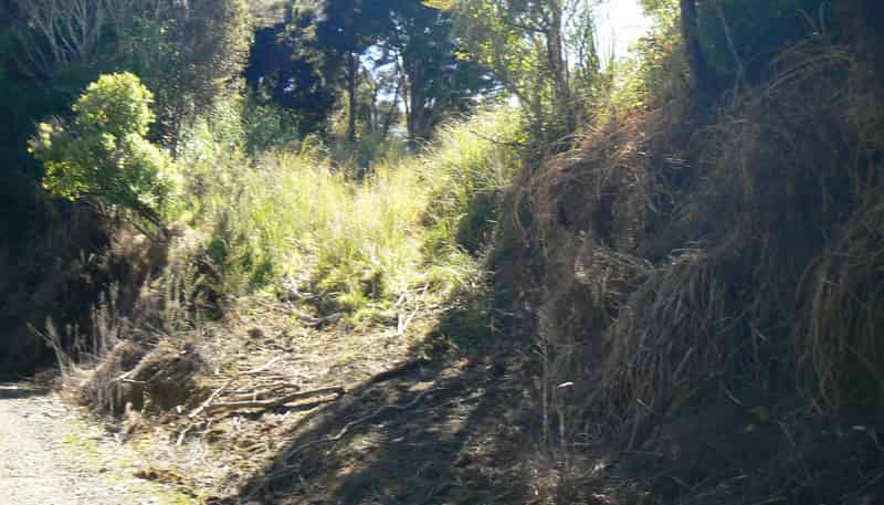 Lot 2/3 Duddy Road, Kaikohe