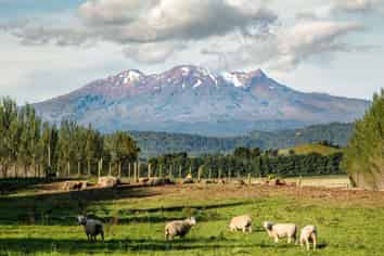 329 Raetihi Ohakune Road - Lot 1 and 2, Ohakune