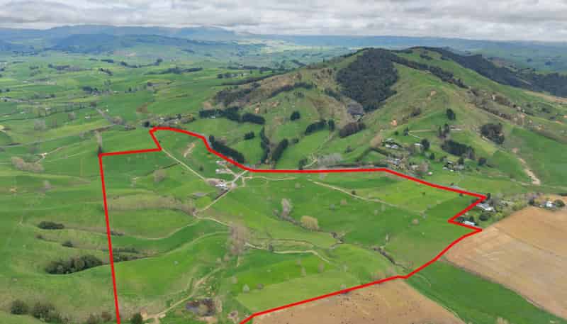 703 Bayley Road, Te Awamutu