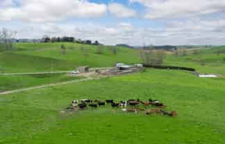 703 Bayley Road, Te Awamutu