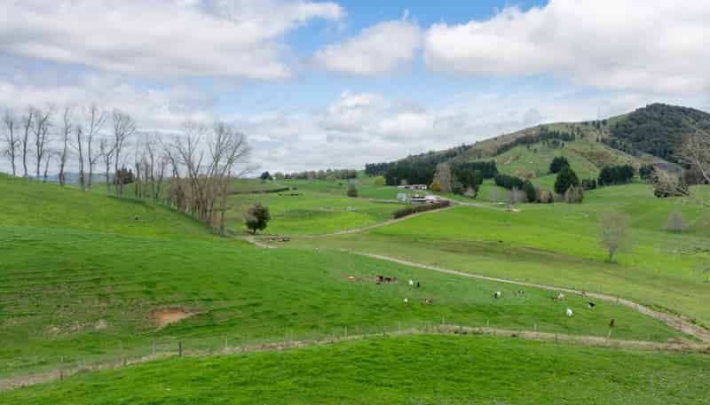 703 Bayley Road, Te Awamutu