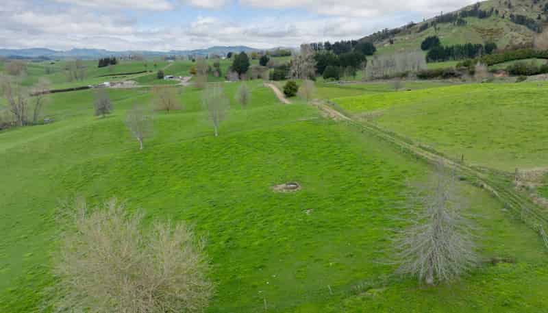 703 Bayley Road, Te Awamutu