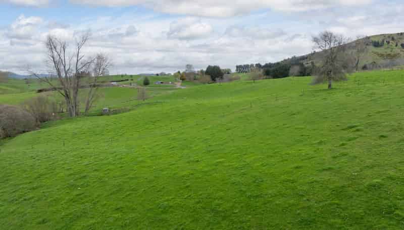 703 Bayley Road, Te Awamutu