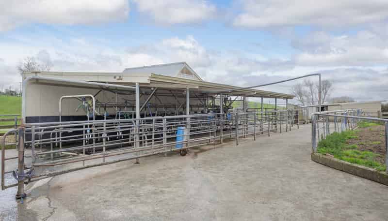 703 Bayley Road, Te Awamutu