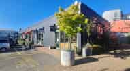 Open gallery