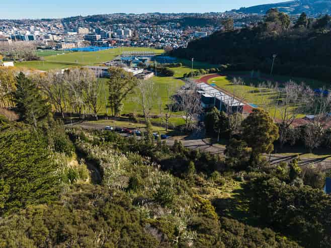 40 Butts Road, North Dunedin