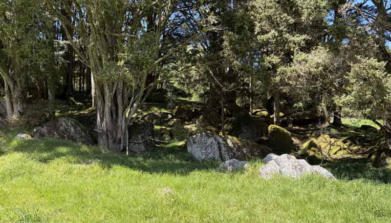  Tremain Road, Ruatangata West