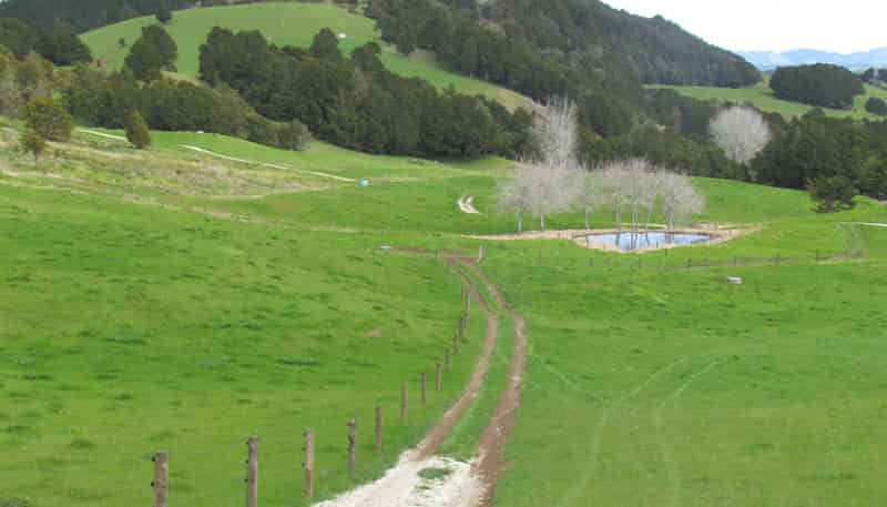  Tremain Road, Ruatangata West