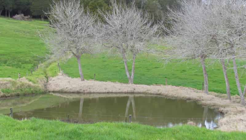 Tremain Road, Ruatangata West