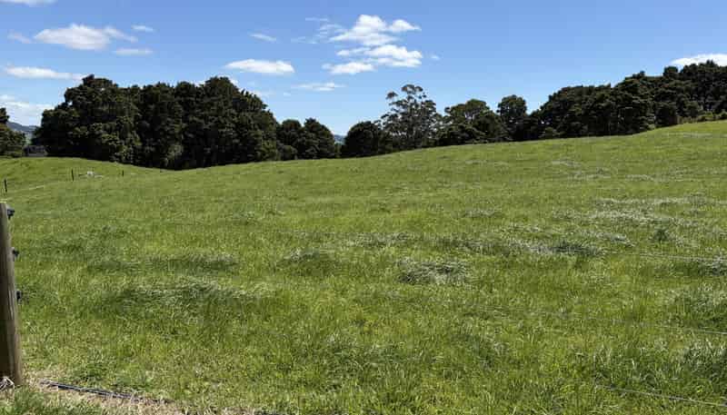  Tremain Road, Ruatangata West