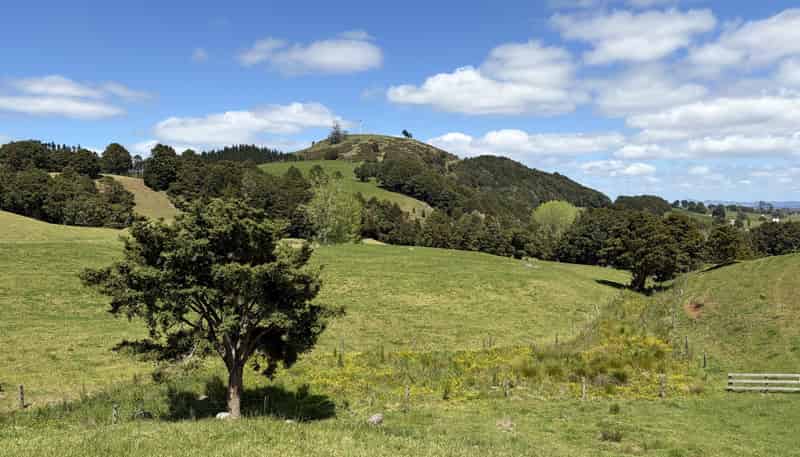  Tremain Road, Ruatangata West